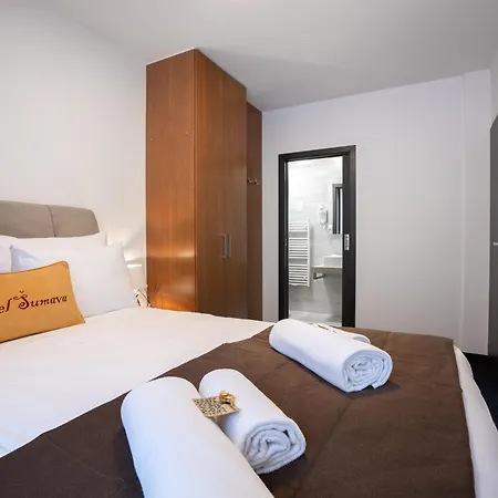 Sumava 호텔 3*