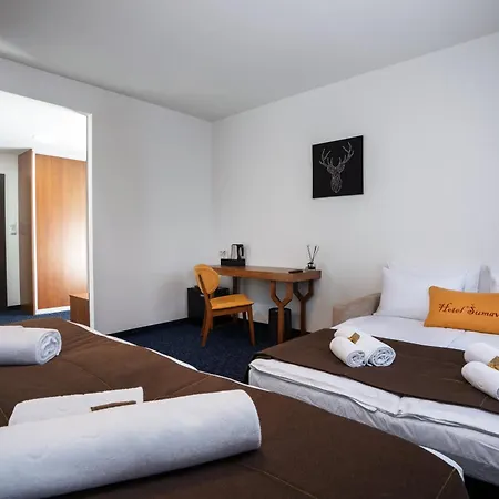 Sumava Hotell Železná Ruda