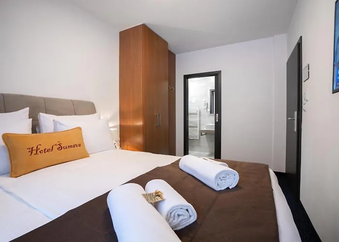 Sumava Hotel 3*